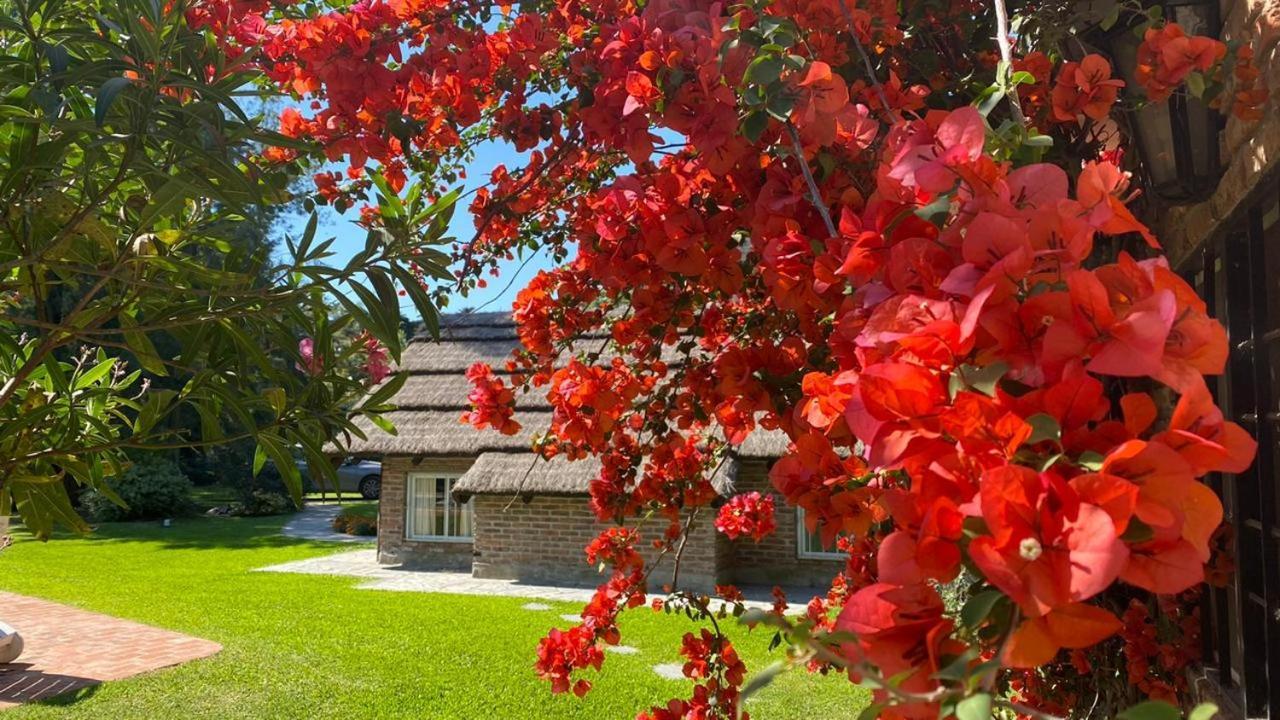 Ruda Lodge Exclusive Bed & Breakfast เฮเนรัล โรดริเกซ ภายนอก รูปภาพ